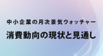 第４７回　消費動向の現状と見通し